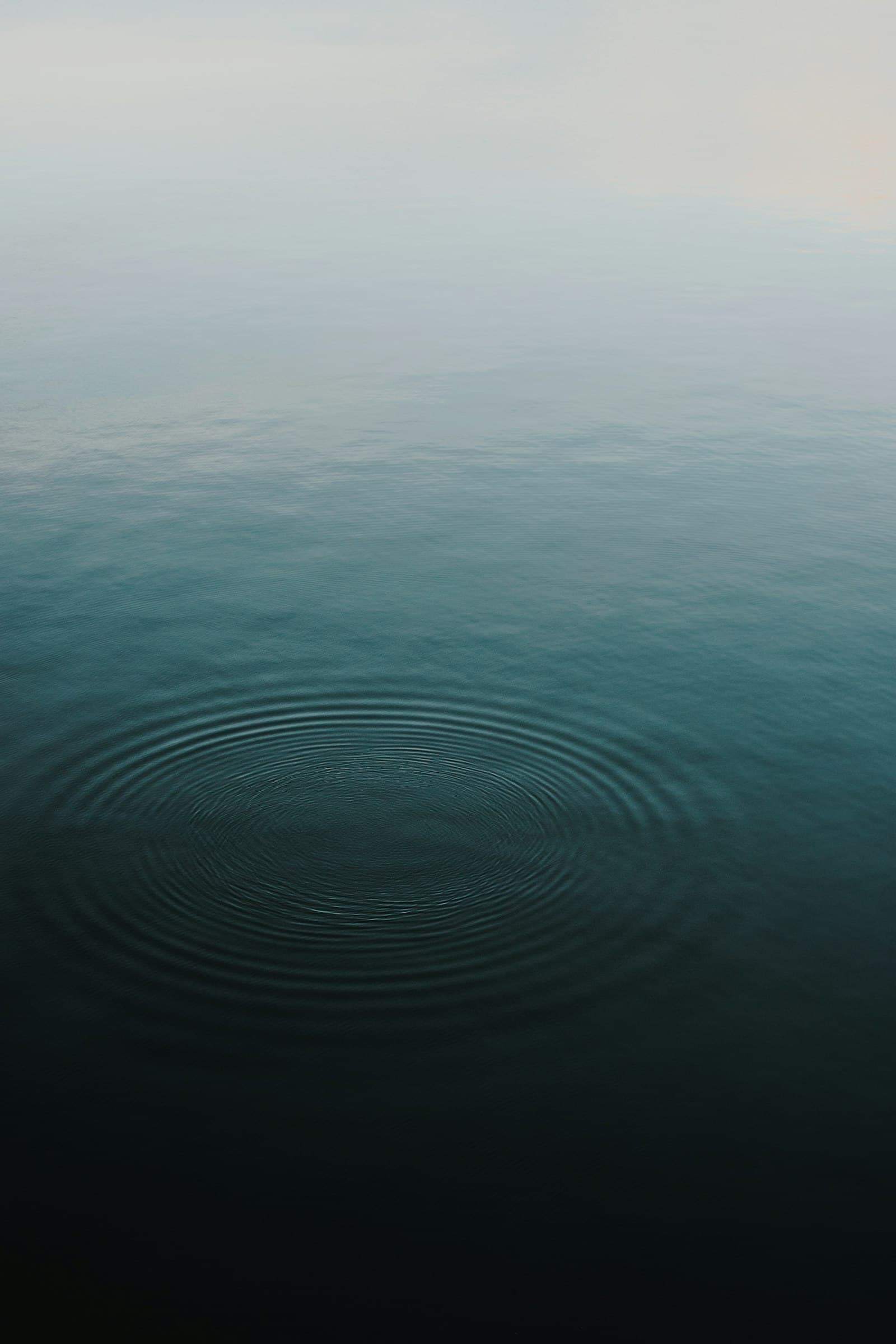 Concentric circular ripples spreading across dark still water